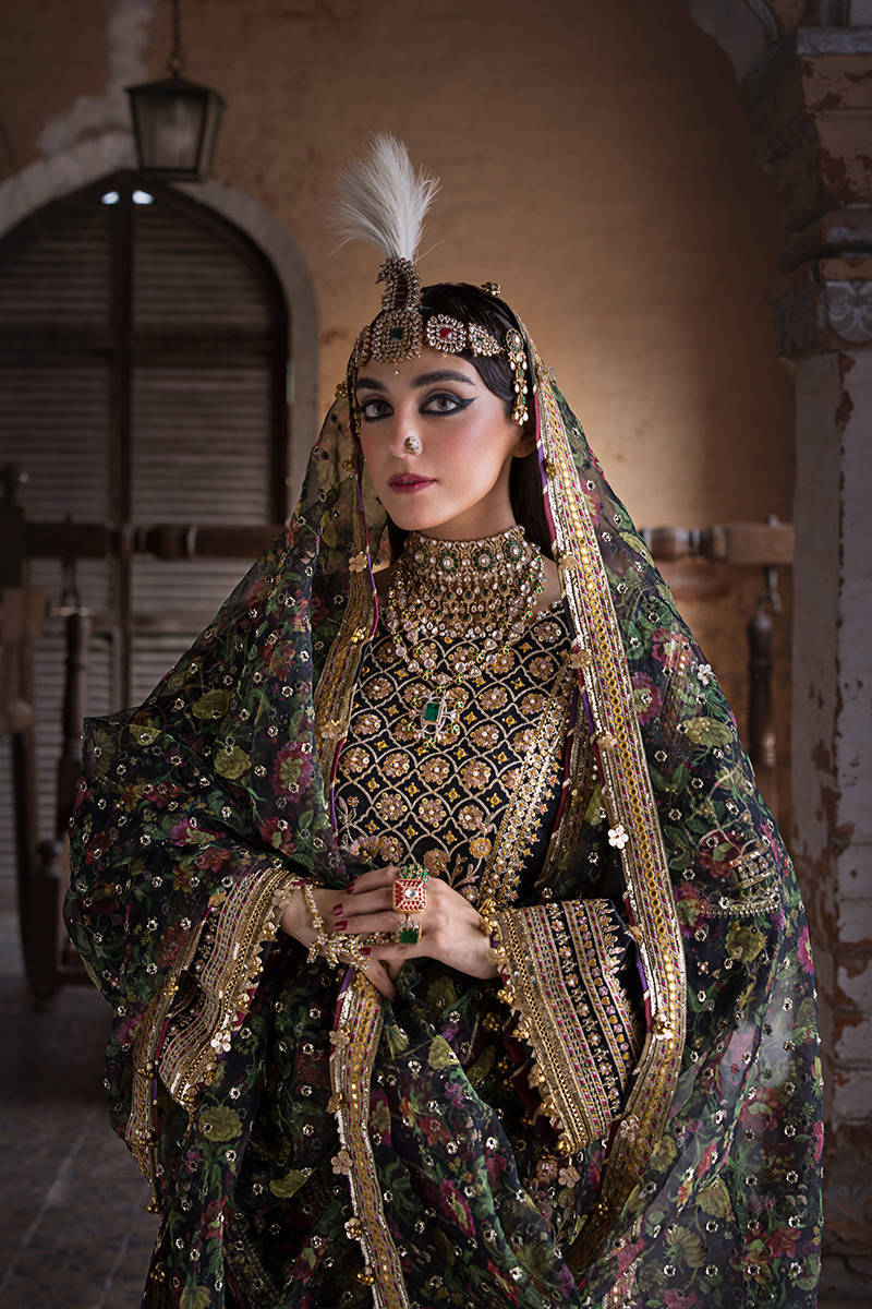 Koyal | Mohsin Naveed Ranjha Design Studio